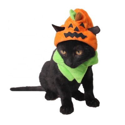 2020 High Quality Halloween Funny Pet dog cat Pumpkin Costume