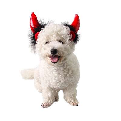 Pet Festival Cosplay Accessory Halloween Headwear Adjustable Pet dog cat devil horns headband hat with feather