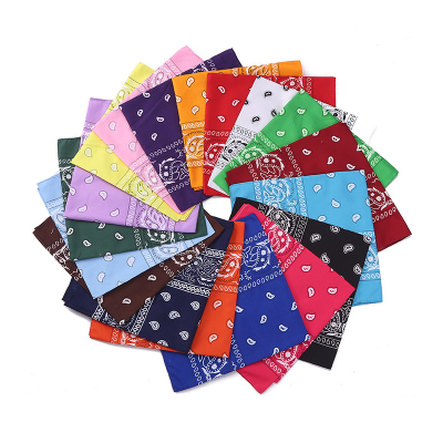 Polyester Bandanna Paisley Bandana - multifunction Headband, Head Wrap, Scarf, scrunchies Neckerchief Handkerchief bandana